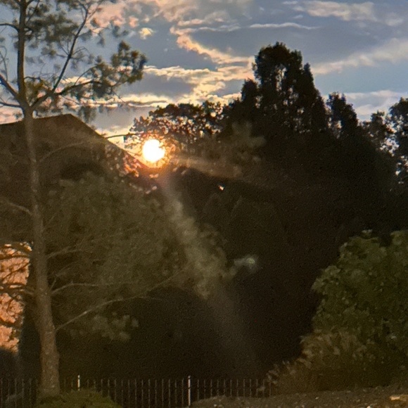 rindro33